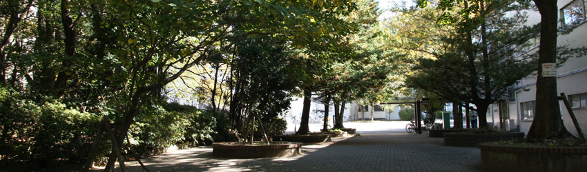アクセス 横浜国立大学 理工学部 化学 生命系学科 化学教育プログラム